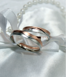 Wedding Bands 1